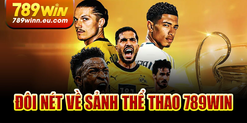 Đôi nét khái quát sảnh thể thao 789Win